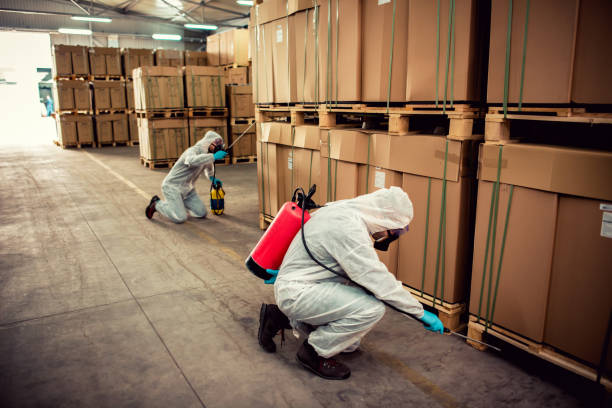 Best Pest Removal Services  in Altamont, IL