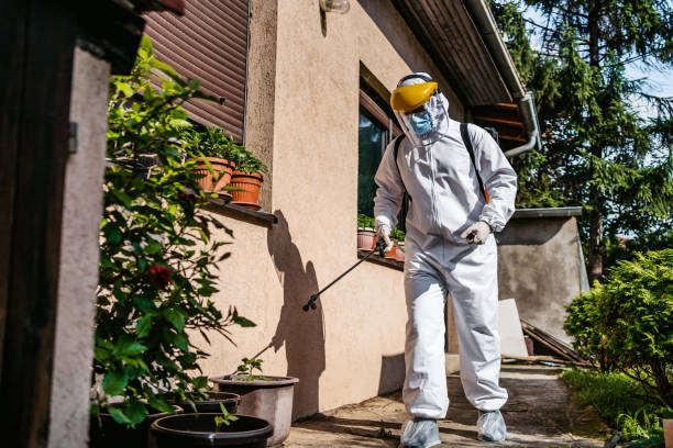Best Pest Control Near Me  in Altamont, IL