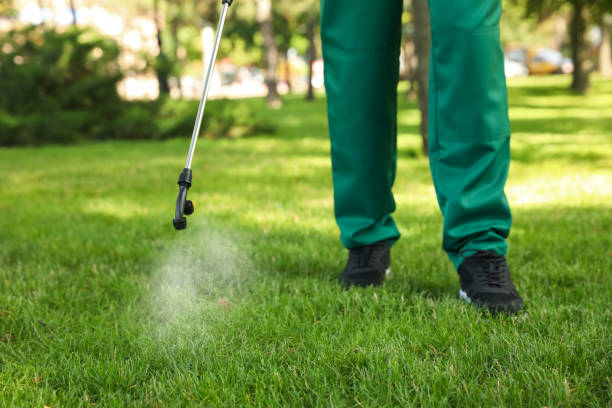 Best Local Pest Control Services  in Altamont, IL