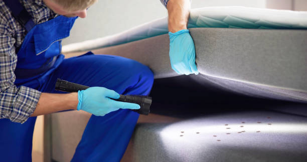 Best Ant Control Services  in Altamont, IL
