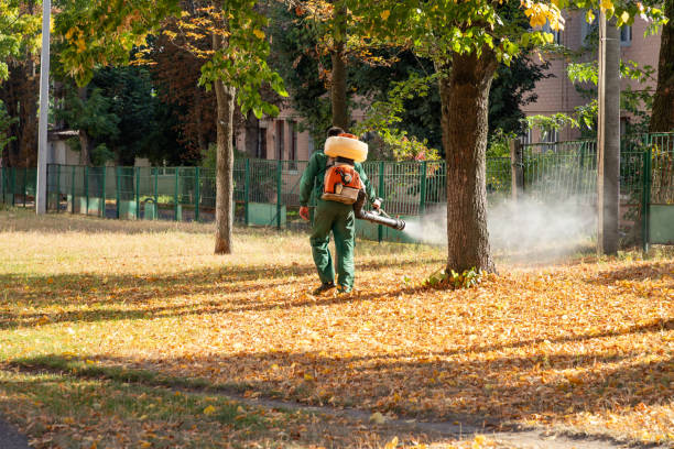 Best Affordable Pest Control Services  in Altamont, IL