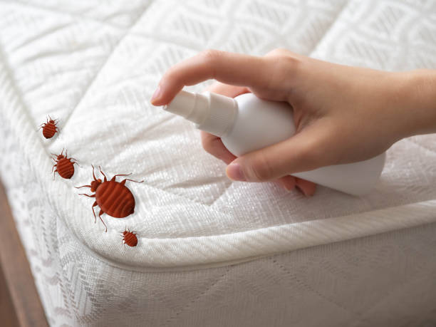Best Best Pest Control Companies  in Altamont, IL