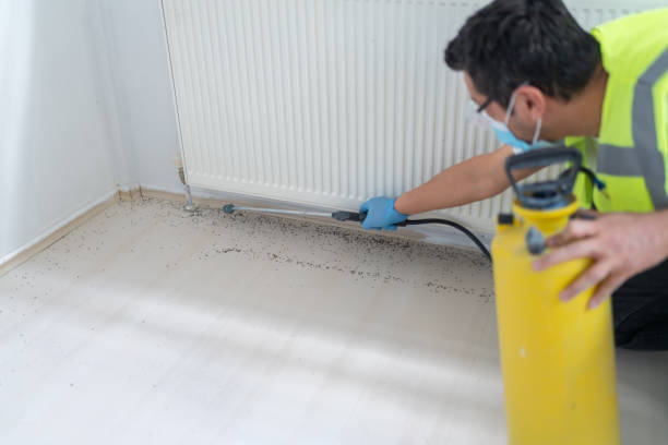 Best Bed Bug Extermination  in Altamont, IL