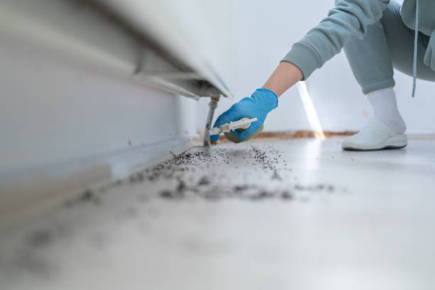 Best Best Pest Control Companies  in Altamont, IL